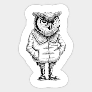 Owl Sticker